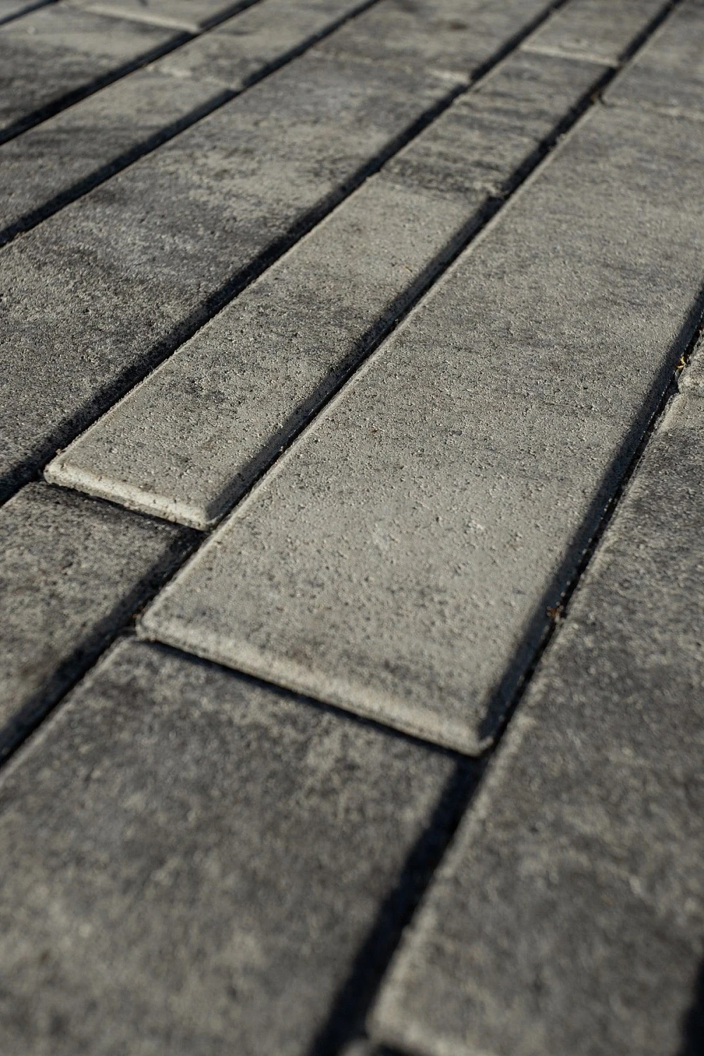 Ландшафтный дизайн в Тюмени с плиткой Ригель, Трио, 300х900 мм