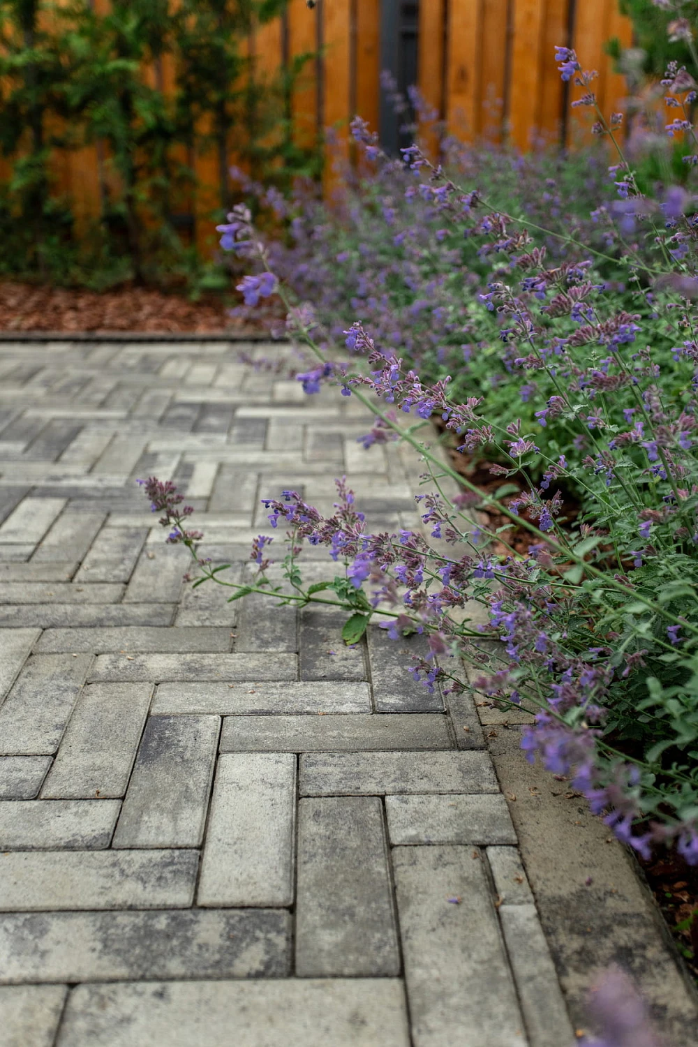 Ландшафтный дизайн участка 9 соток на Московском тракте