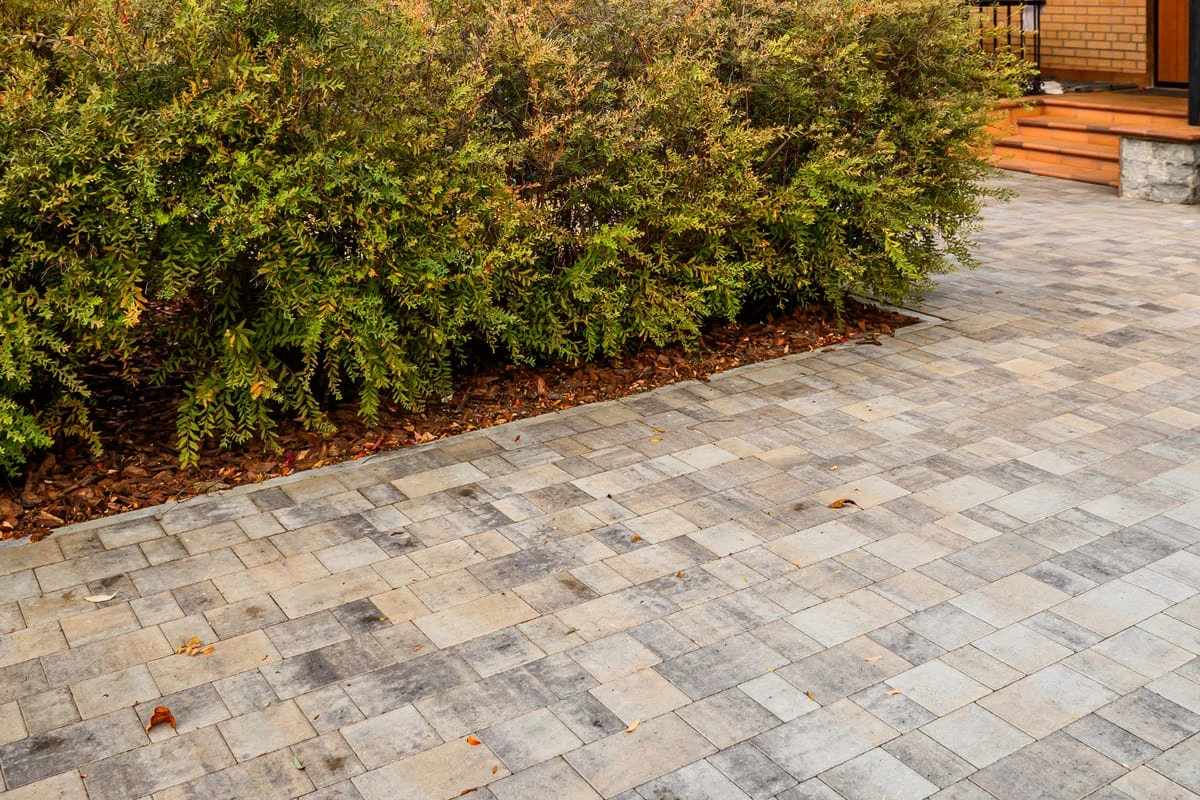 iwyaj3iudvf5f503mw2hpbp2j6jmma2o.webp iwyaj3iudvf5f503mw2hpbp2j6jmma2o.webp