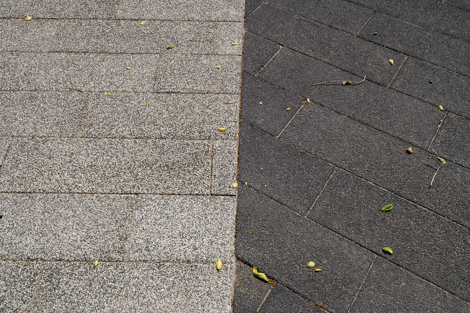 Сквер с историей географов открыли по улице Дзержинского в Тюмени