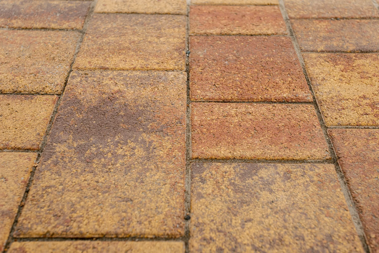 Аллея Первых на проезде Геологоразведчиков в Тюмени